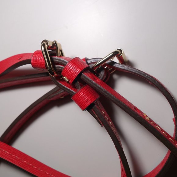 Dooney & Bourke Cherry Red Saffiano Lexi Crossbody Small Bag Purse - Picture 4 of 9